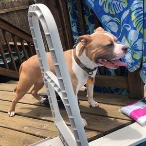 Meet your Posher, Nathaniel